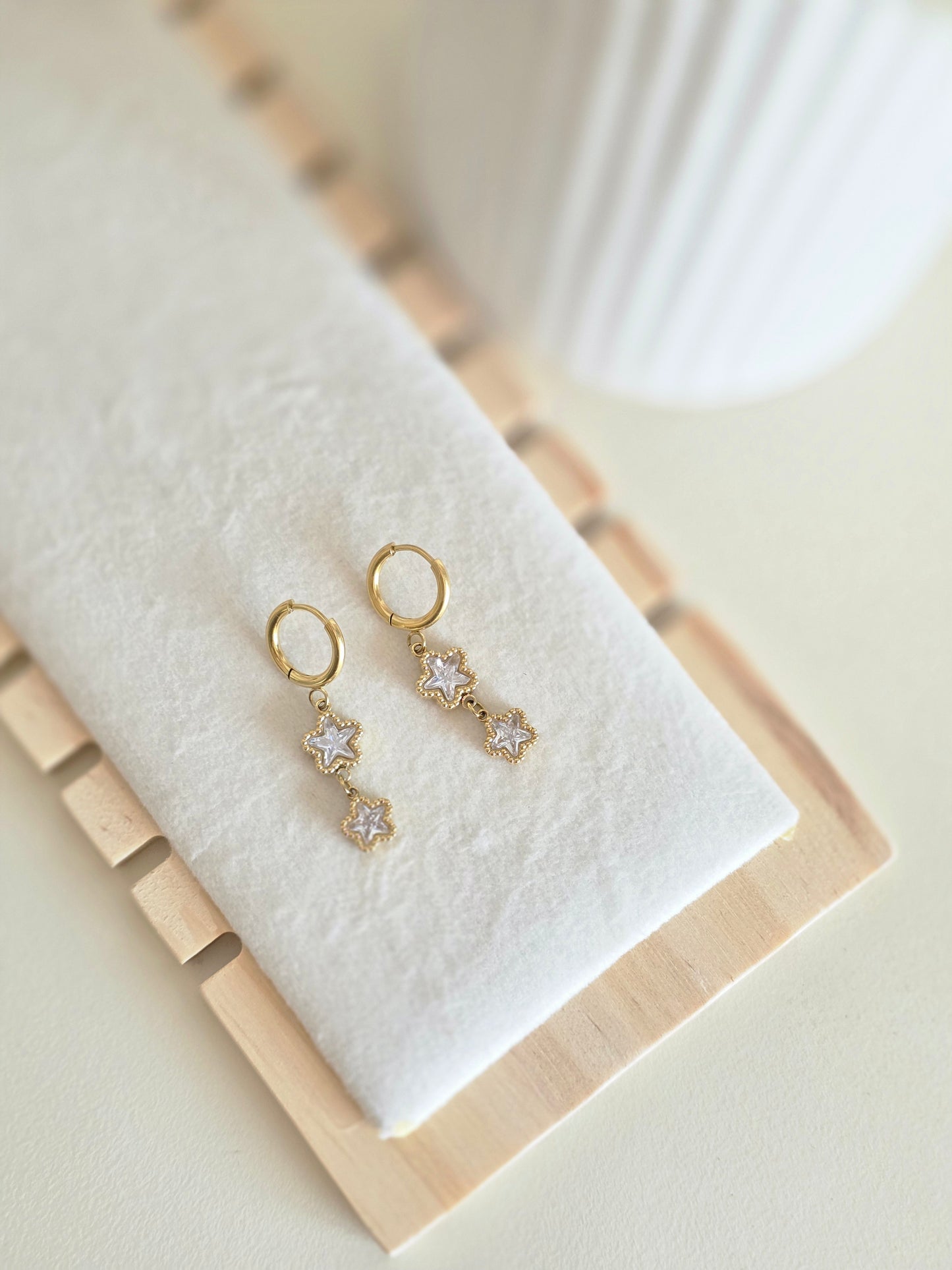 Dual drop Earring