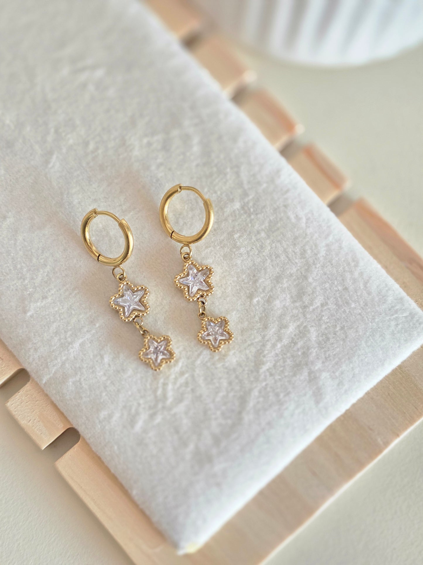 Dual drop Earring